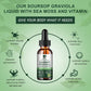 (2 Pack) Organic Soursop Graviola Leaf Extract Liquid Drop Plus Pure Botanical Sea Moss for Cell Support & Regeneration, Immunity, Liver, Sleep & Antioxidant - 7-in-1 Soursop Bitters Liquid, 1 Fl Oz