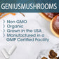 Lions Mane Complex 90caps | 5 types Mushroom, Nootropic Brain Support, Focus, Antioxidant