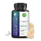 Lions Mane Complex 90caps | 5 types Mushroom, Nootropic Brain Support, Focus, Antioxidant