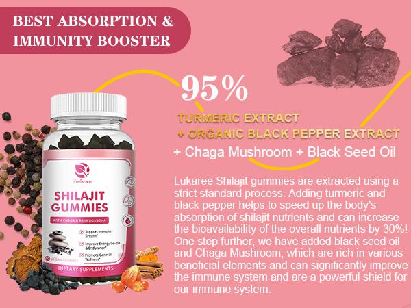 Shilajit Gummies, Pure Himalayan Shilajit with Ashwagandha, Black Seed Oil, Vitamin C D3 B12 & Zinc, Sugar Free Shilajit for Men & Women, Strawberry