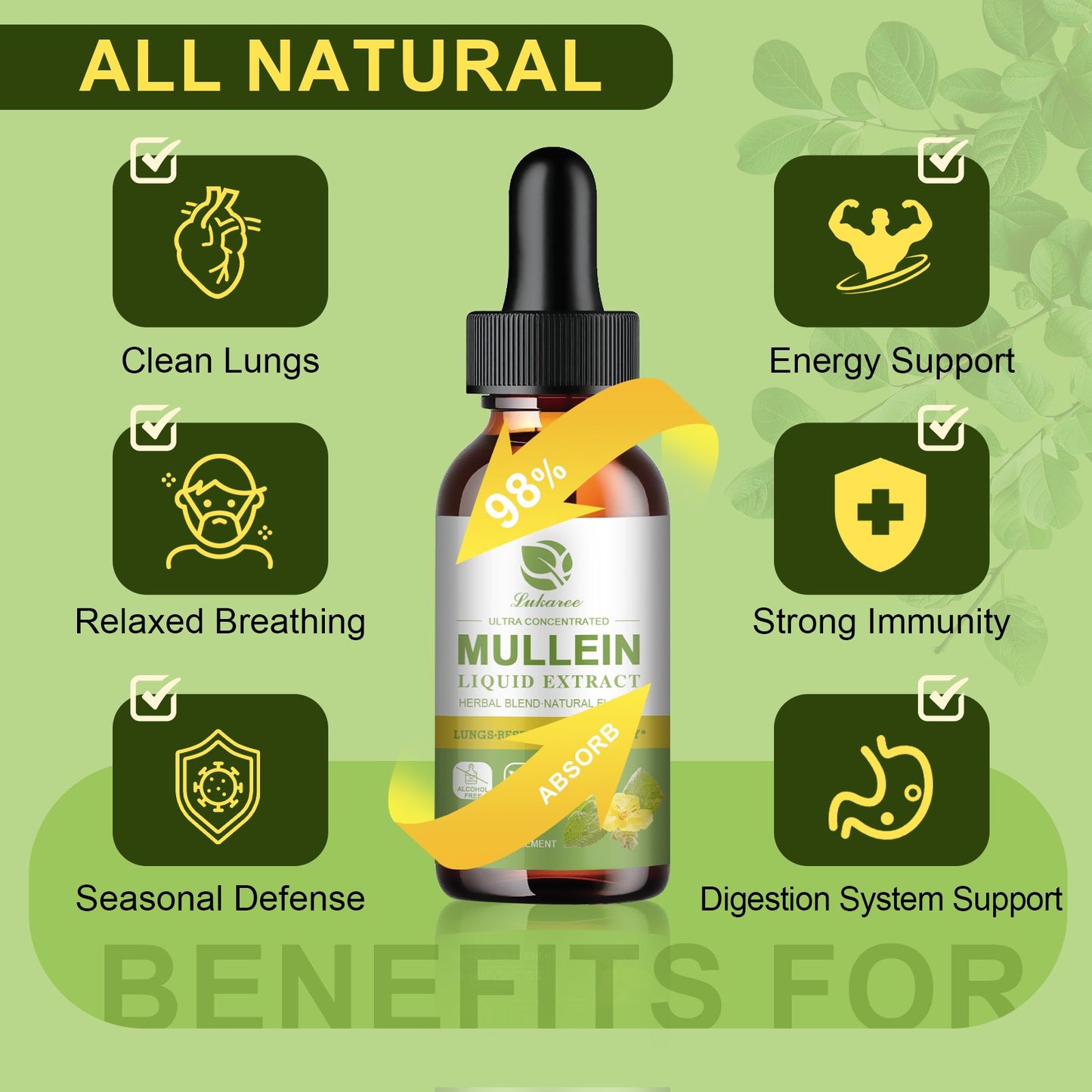 Mullein Drops for Lungs, Lung Detox & Cleanse, Vegan Mullein Leaf Extract Tincture with Chlorophyll Elderberry, etc, Natural Herbal Supplement for Respiratory, Immune, 60 Servings