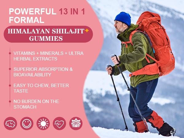 Shilajit Gummies, Pure Himalayan Shilajit with Ashwagandha, Black Seed Oil, Vitamin C D3 B12 & Zinc, Sugar Free Shilajit for Men & Women, Strawberry