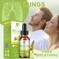 17 in 1 Mullein Drops for Lungs, Lung Detox & Cleanse, Mullein Leaf Extract Tincture with Chlorophyll, Elderberry, etc, Vegan Herbal Supplement for Immune Respiratory Apple Flavor 2 Packs