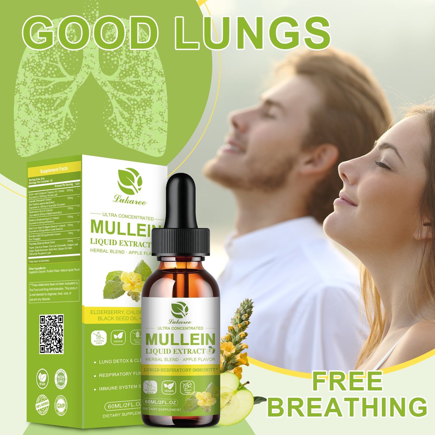 17 in 1 Mullein Drops for Lungs, Lung Detox & Cleanse, Mullein Leaf Extract Tincture with Chlorophyll, Elderberry, etc, Vegan Herbal Supplement for Immune Respiratory Apple Flavor 2 Packs